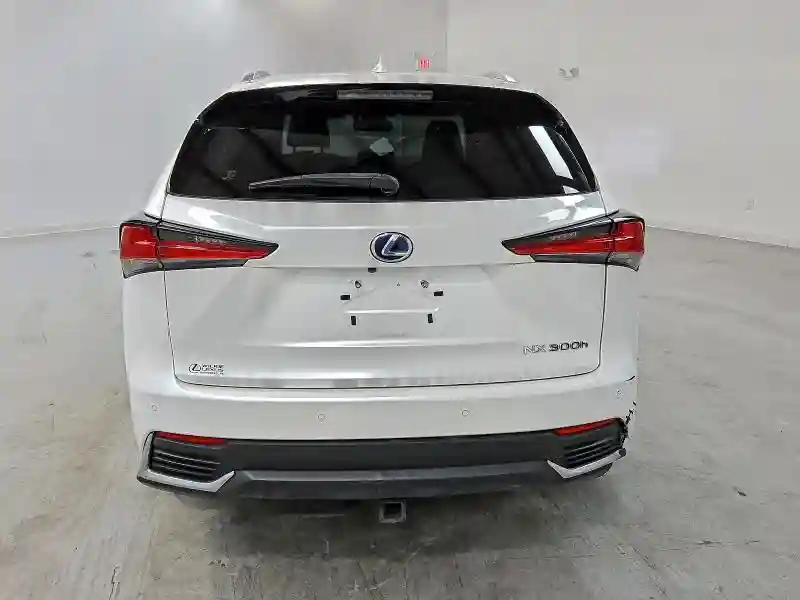 JTJGJRDZ1L2139391 2020 LEXUS NX-5
