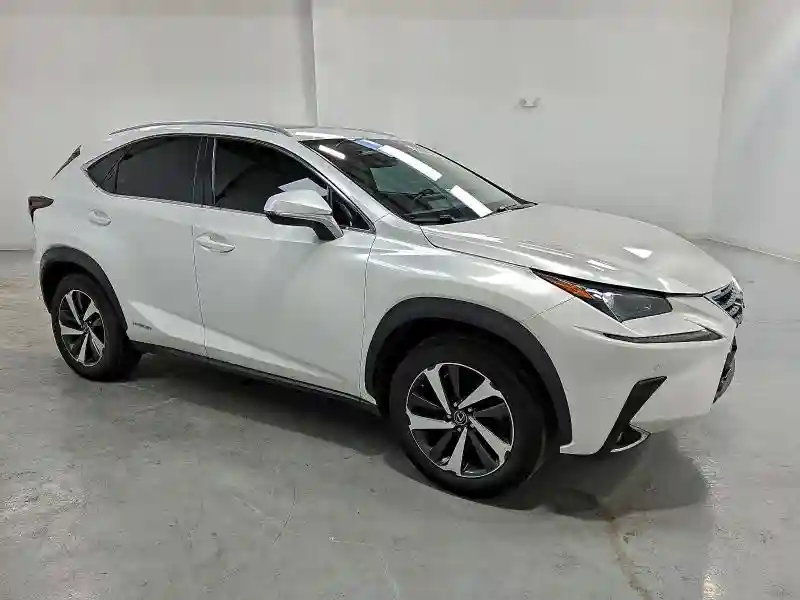JTJGJRDZ1L2139391 2020 LEXUS NX-3