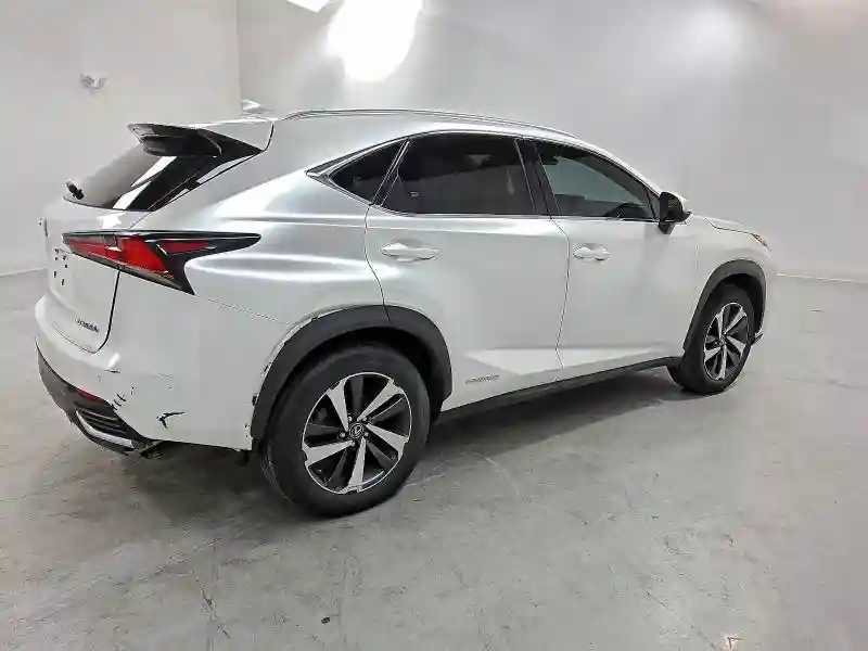 JTJGJRDZ1L2139391 2020 LEXUS NX-2