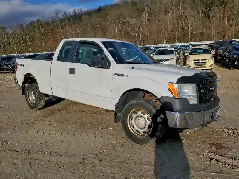 1FTFX1EF1EKE28213 2014 FORD F-150-3