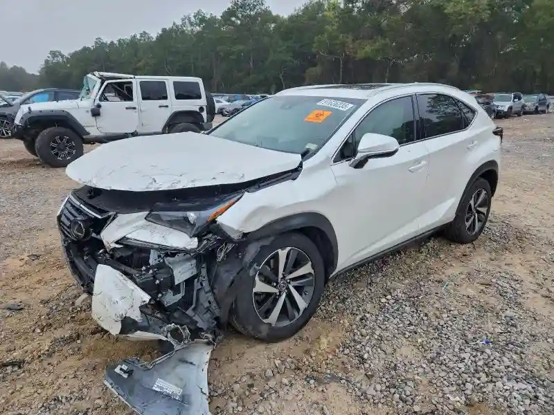JTJYARBZ7J2106299 2018 LEXUS NX-0